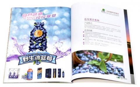 精裝樣本-食品類(lèi)02